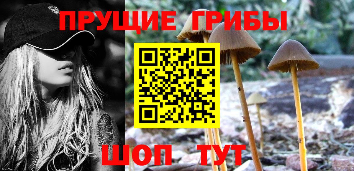 Красноуфимск  Галлюциногенные грибы MAGIC MUSHROOMS  Галлюциногенные грибы Psilocybine cubensis  Вход с VPN 